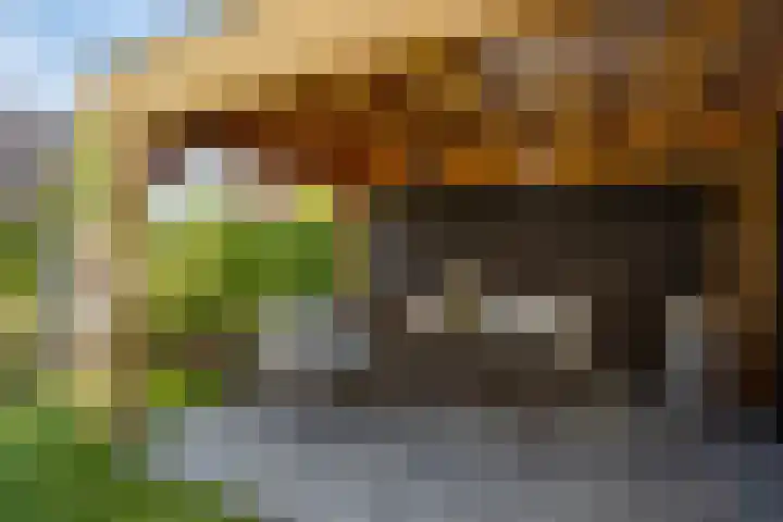 Markerichter 63 Hardenberg thumbnail 42