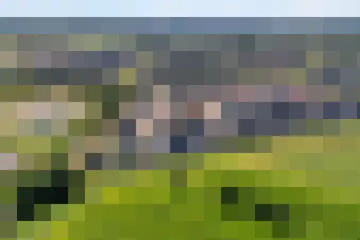 Markerichter 63 Hardenberg thumbnail 9