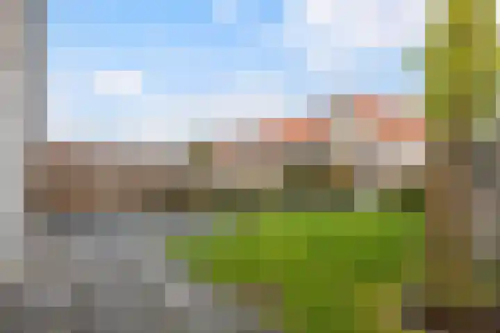 Markerichter 65 Hardenberg thumbnail 14