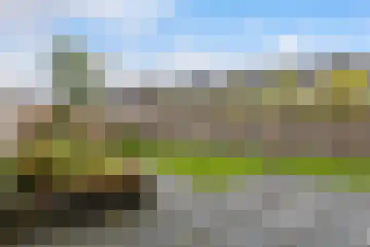 Markerichter 65 Hardenberg thumbnail 15