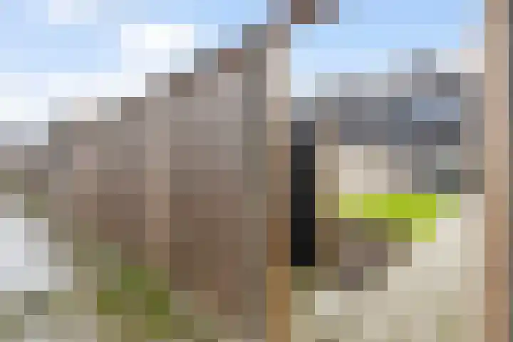 Markerichter 79 Hardenberg thumbnail 13