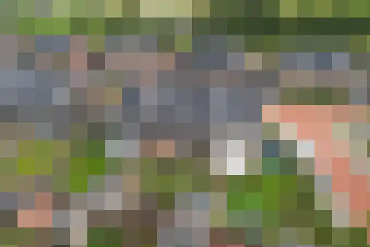 Markerichter 79 Hardenberg thumbnail 30