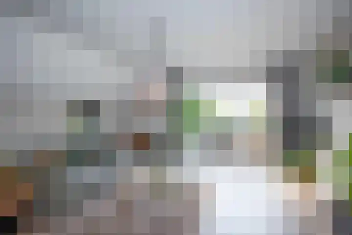 Markesingel 21 Hengevelde thumbnail 18