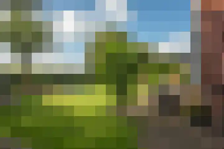 Markesingel 21 Hengevelde thumbnail 4
