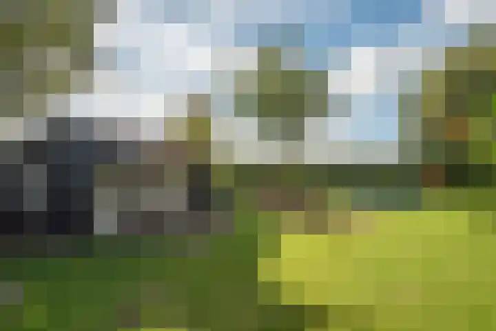 Markesingel 21 Hengevelde thumbnail 46