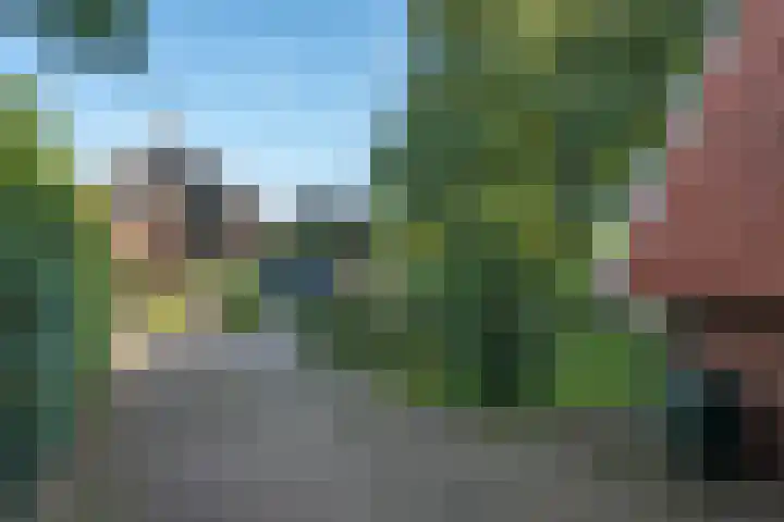 Markesingel 21 Hengevelde thumbnail 48
