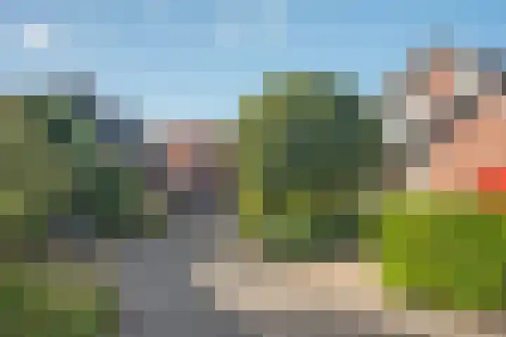 Markesingel 21 Hengevelde thumbnail 49