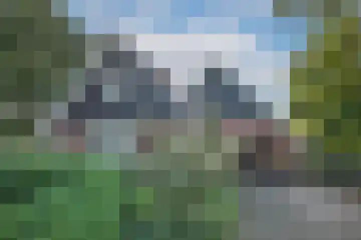 Markesingel 21 Hengevelde thumbnail 5
