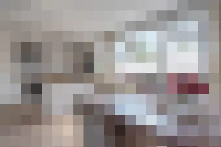 Markestraat 91 Borger thumbnail 4