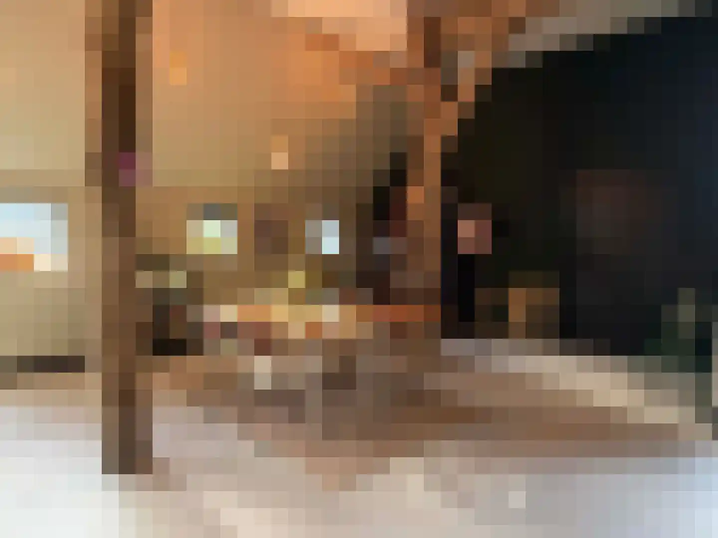 Markeweg 1 Zwinderen thumbnail 10