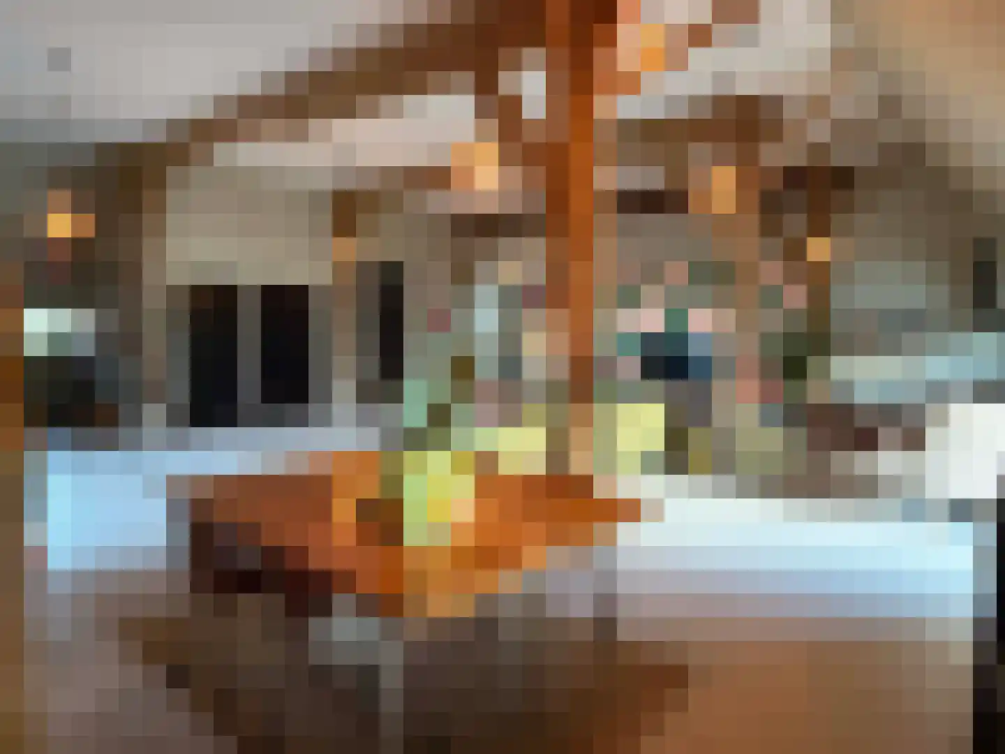 Markeweg 1 Zwinderen thumbnail 12