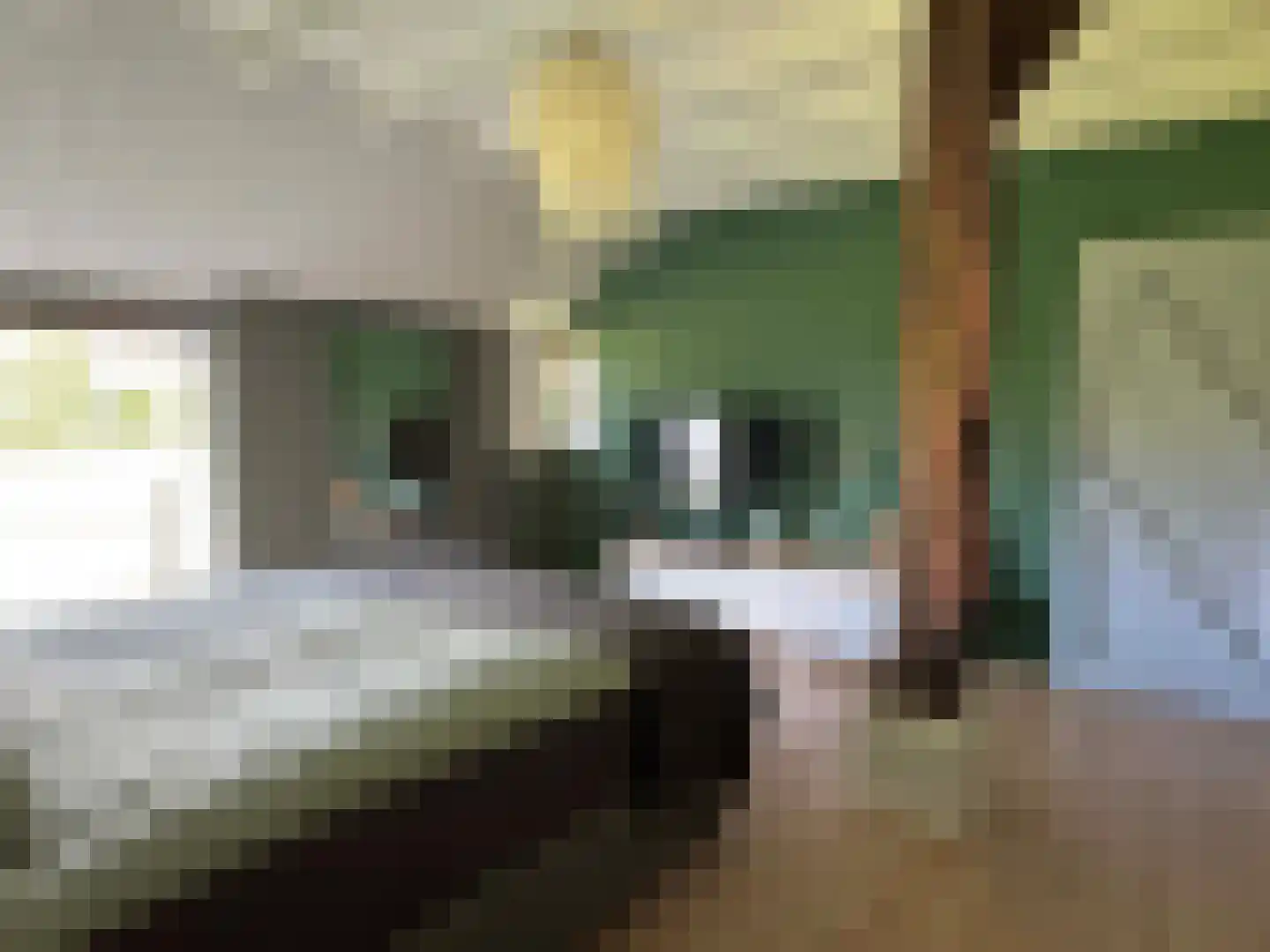 Markeweg 1 Zwinderen thumbnail 20