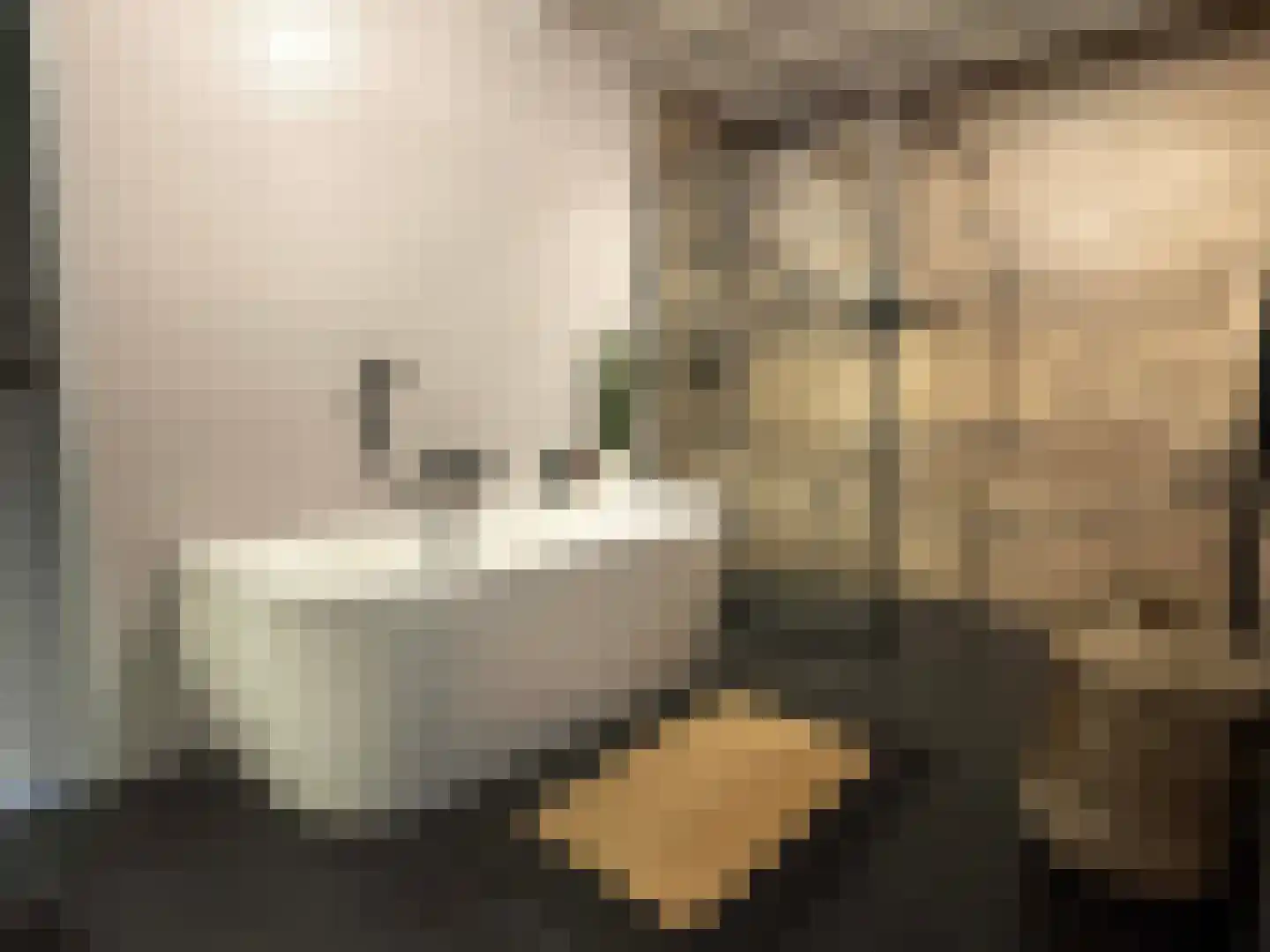Markeweg 1 Zwinderen thumbnail 22