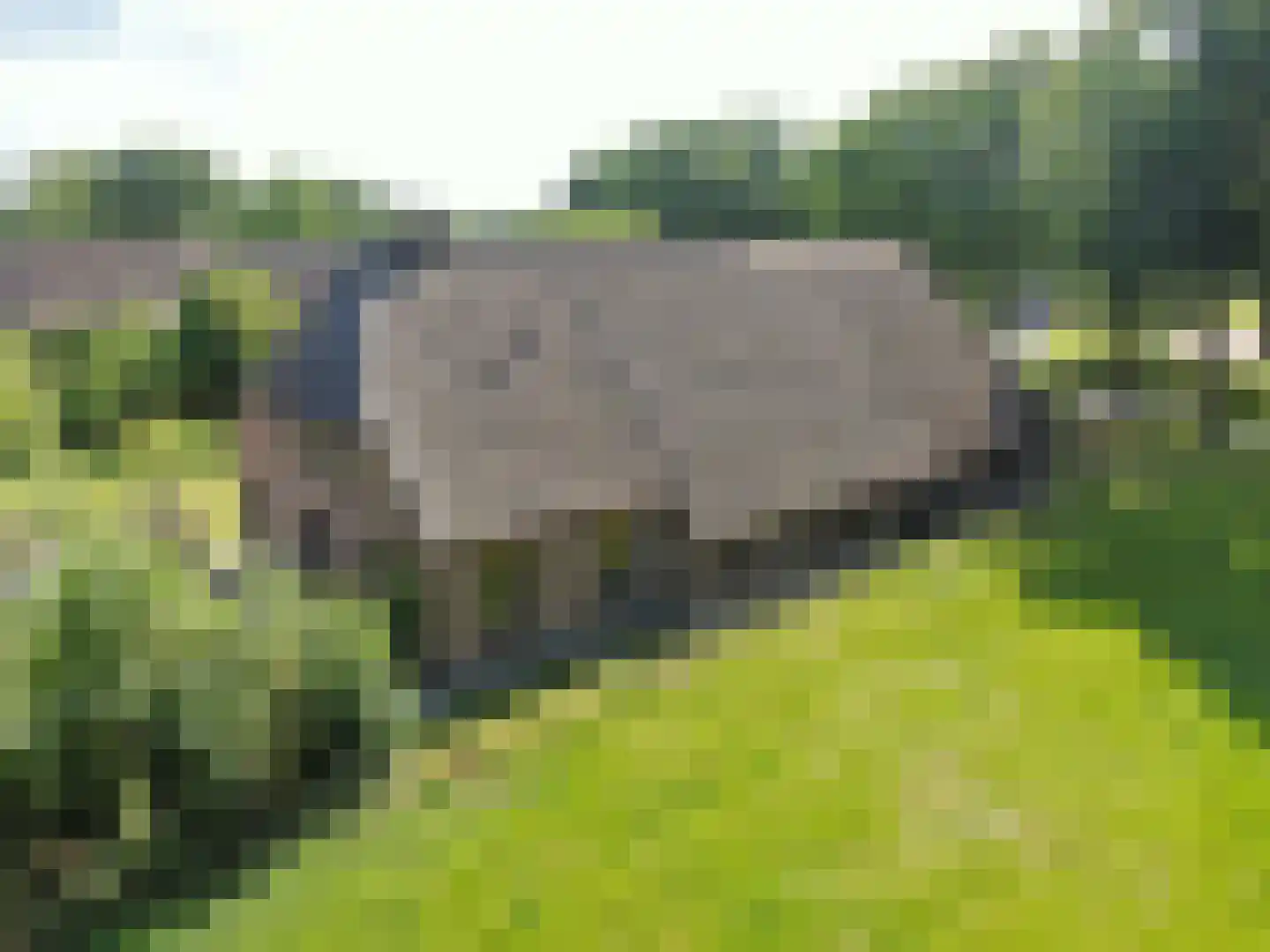 Markeweg 1 Zwinderen thumbnail 4
