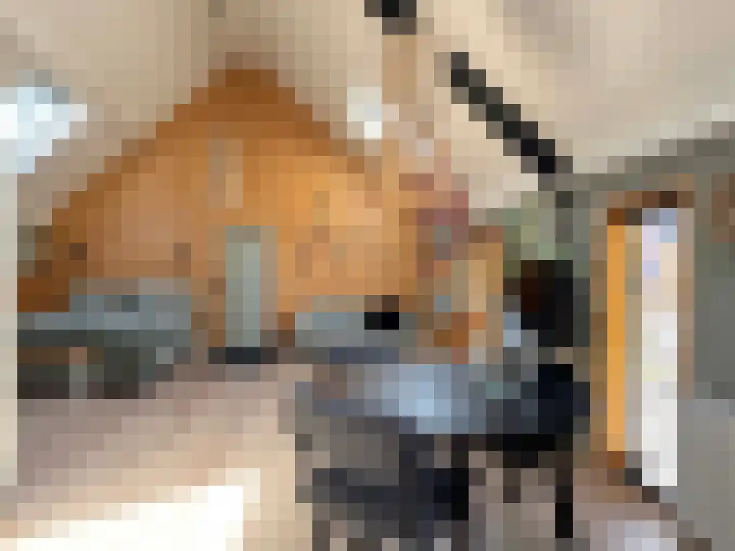 Markeweg 1 Zwinderen thumbnail 41