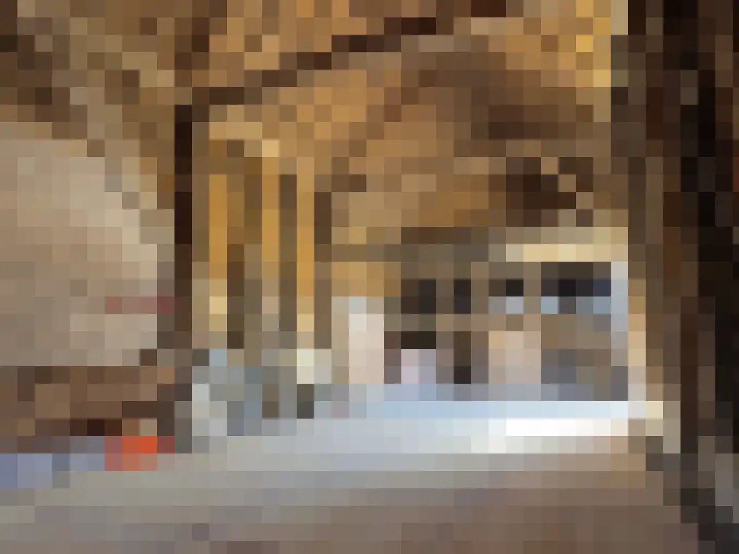 Markeweg 1 Zwinderen thumbnail 47