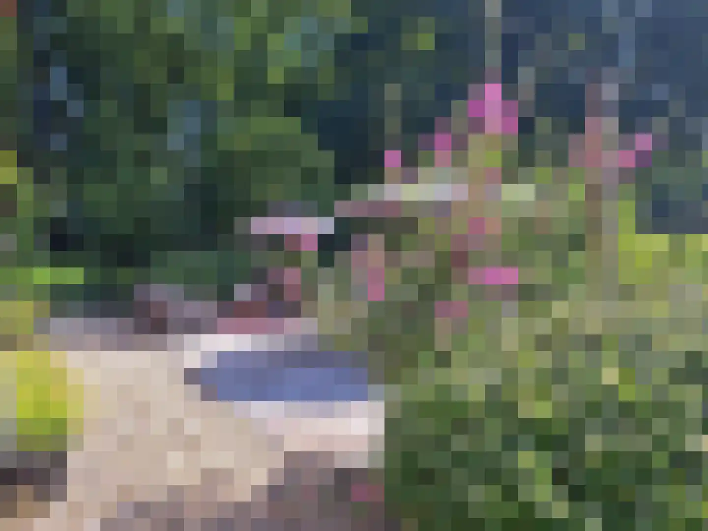 Markeweg 1 Zwinderen thumbnail 52