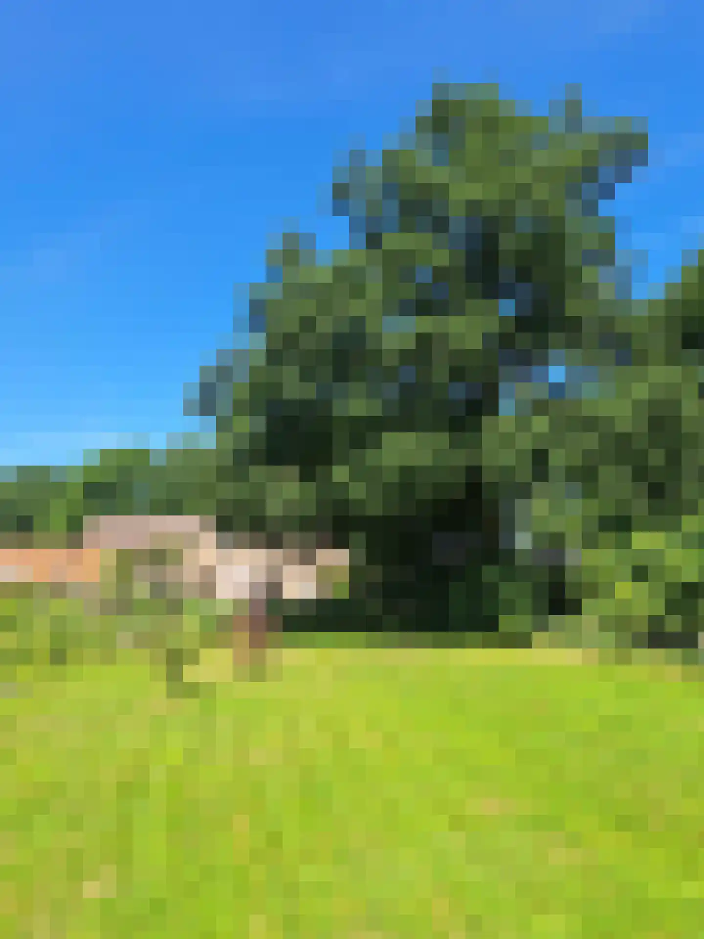 Markeweg 1 Zwinderen thumbnail 60