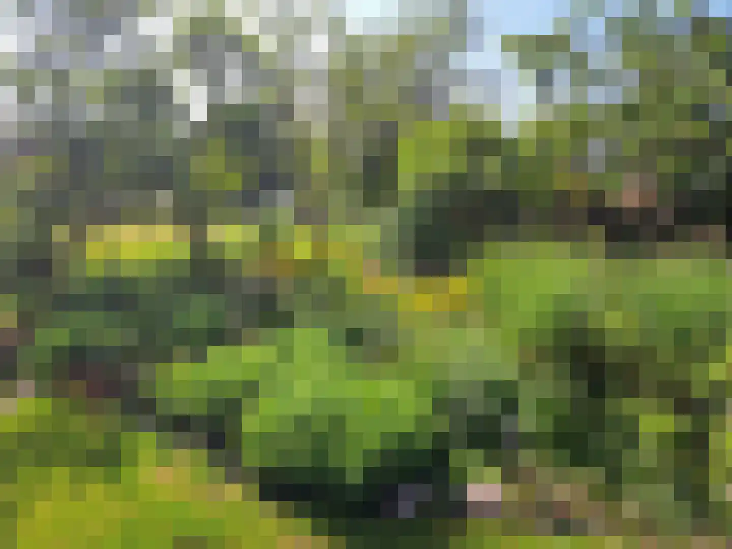 Markeweg 1 Zwinderen thumbnail 63