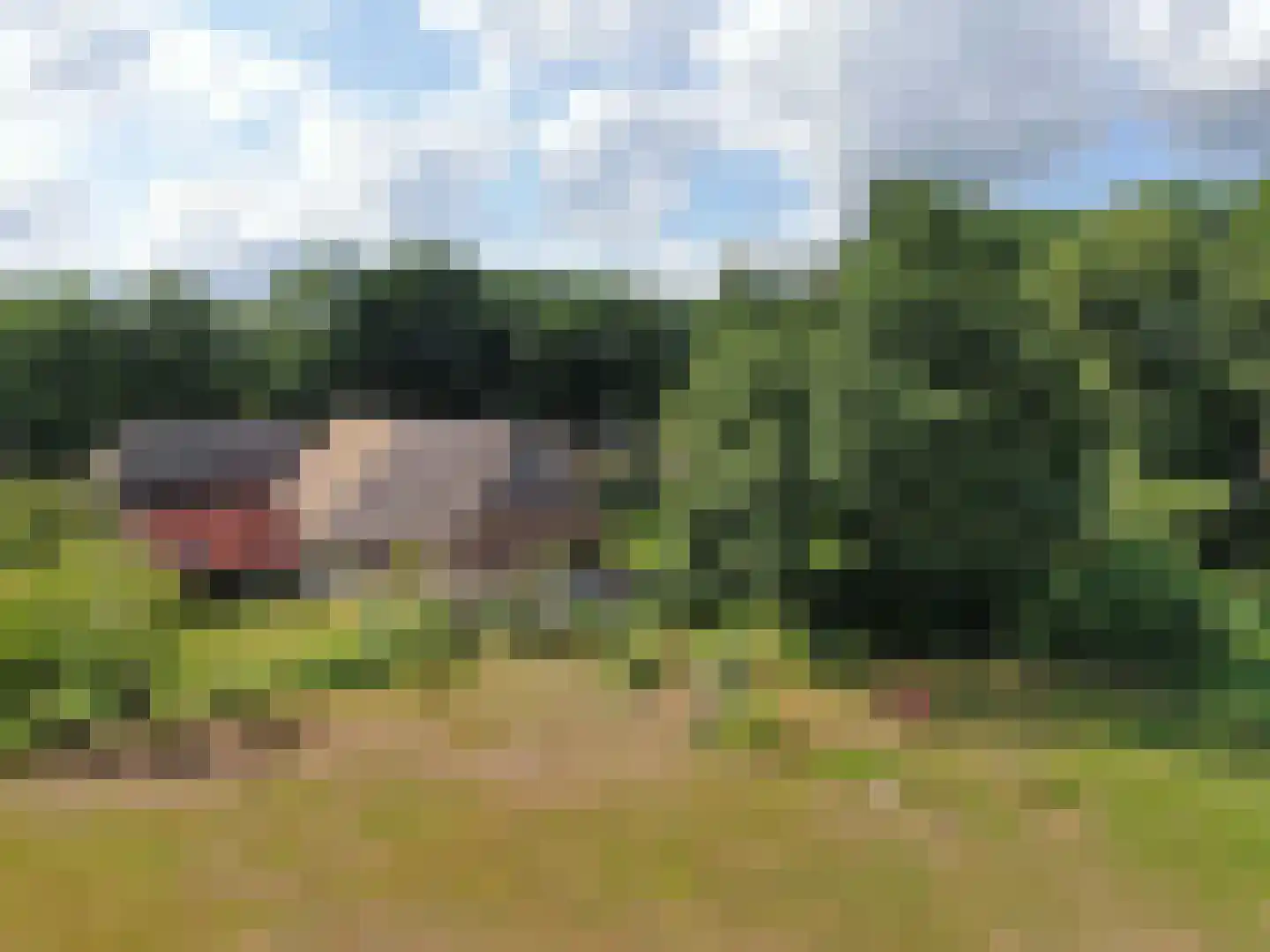 Markeweg 1 Zwinderen thumbnail 7
