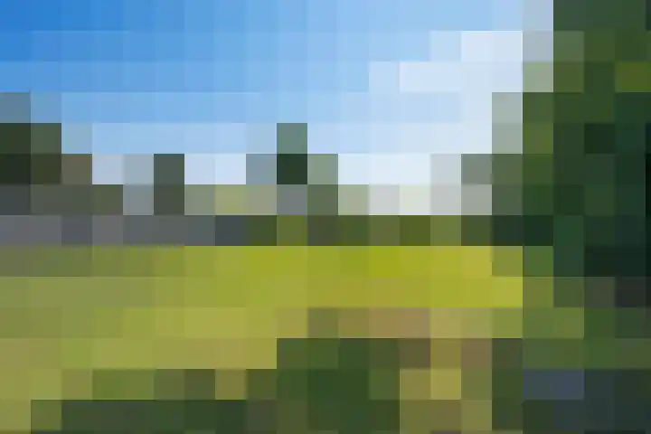 Markeweg 171 Ter Apel thumbnail 38