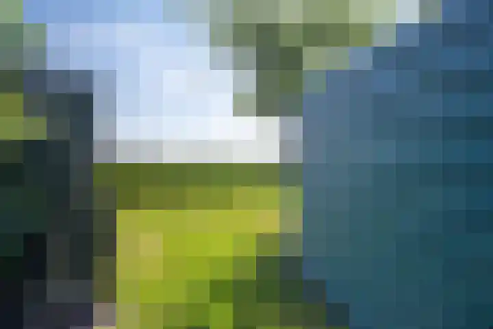 Markeweg 171 Ter Apel thumbnail 42