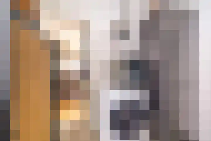 Markeweg 5 Glimmen thumbnail 41