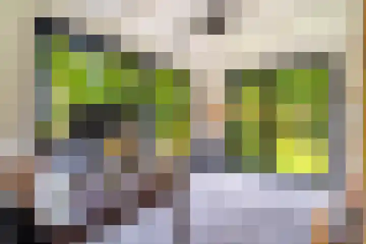 Markeweg 5 Glimmen thumbnail 42