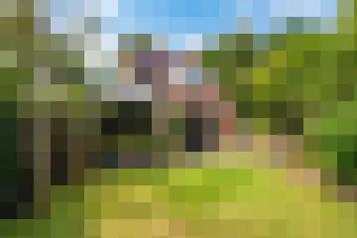 Markeweg 5 Glimmen thumbnail 68