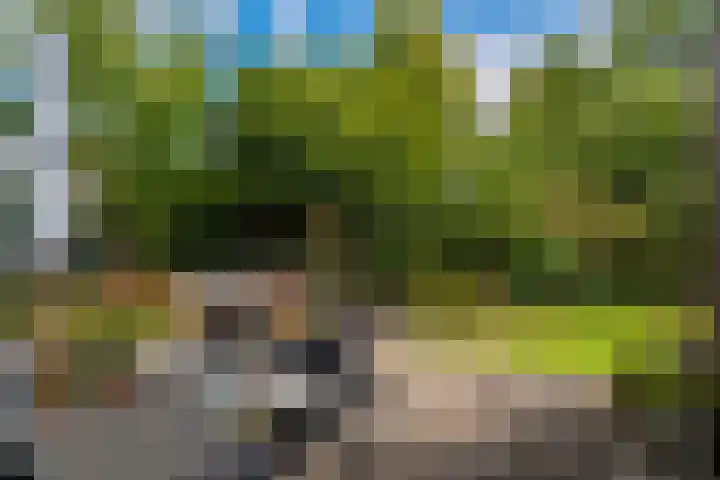 Markeweg 5 Glimmen thumbnail 71