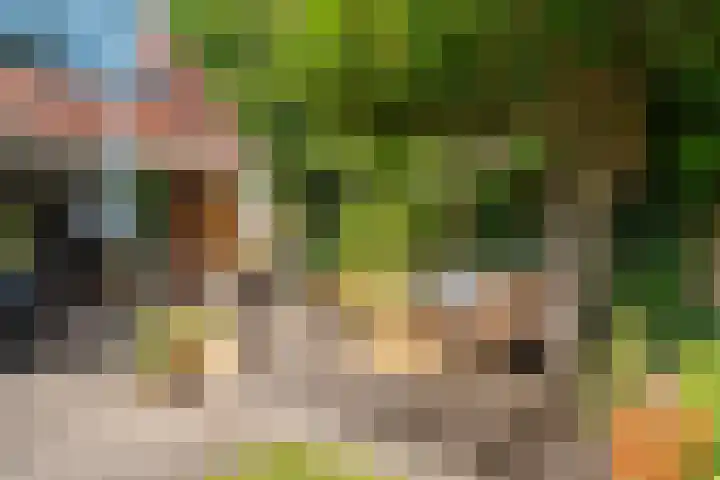 Markeweg 5 Glimmen thumbnail 72