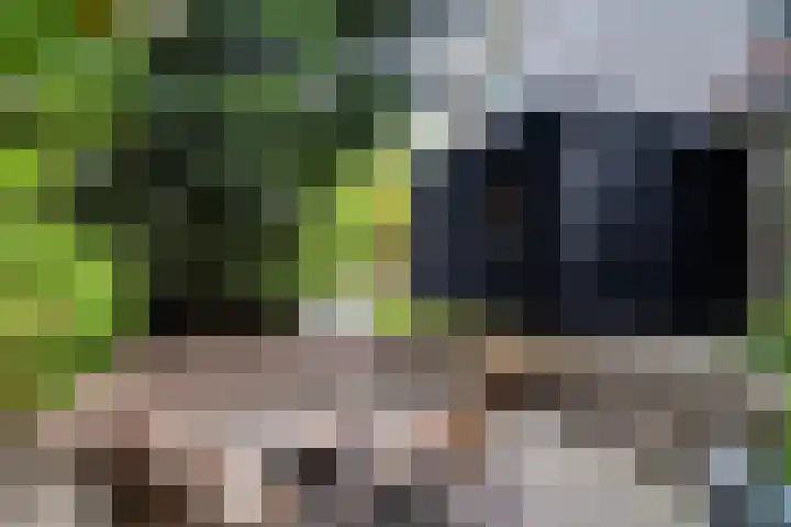 Markeweg 5 Glimmen thumbnail 76
