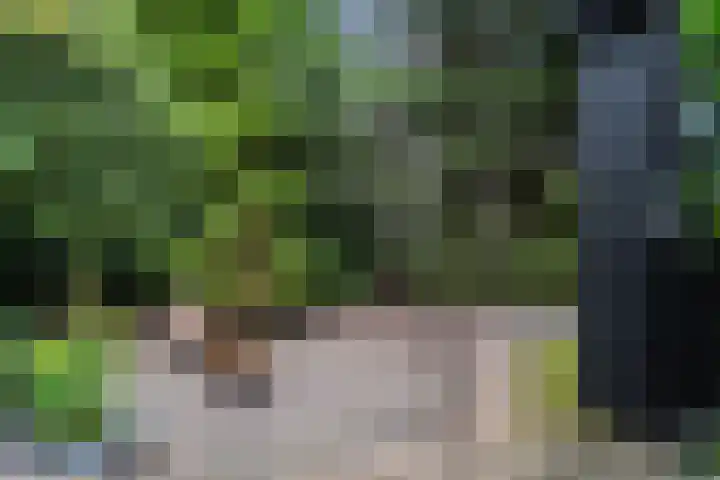 Markeweg 5 Glimmen thumbnail 77