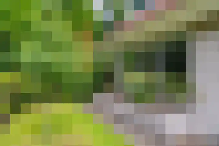 Markeweg 5 Glimmen thumbnail 78