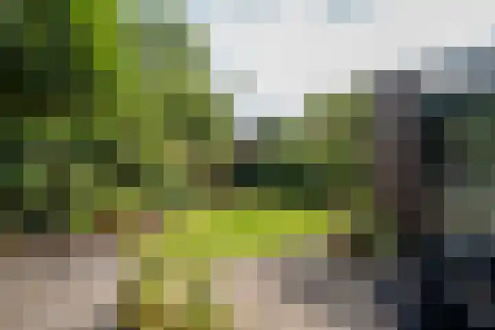 Markeweg 5 Glimmen thumbnail 8