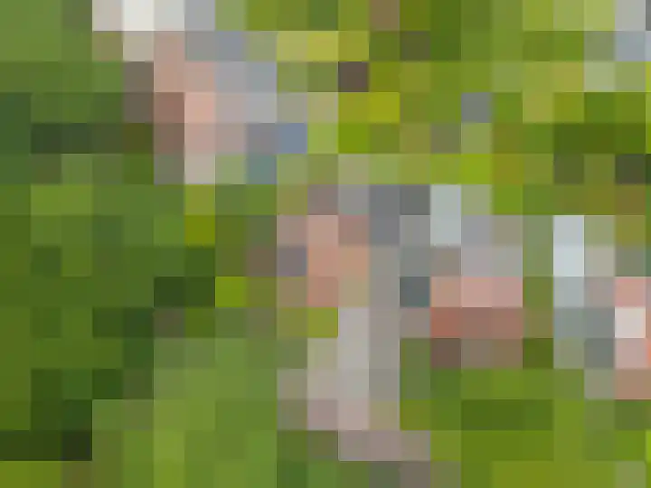 Markeweg 5 Glimmen thumbnail 83