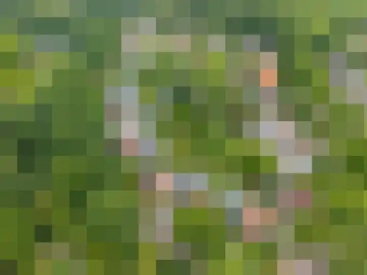 Markeweg 5 Glimmen thumbnail 84