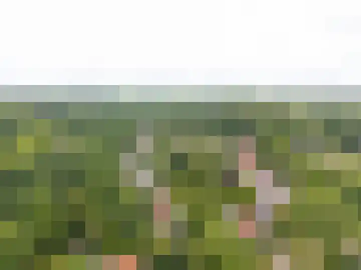 Markeweg 5 Glimmen thumbnail 85