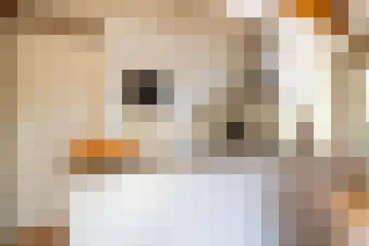 Markgraaflaan 129 Den Haag thumbnail 33