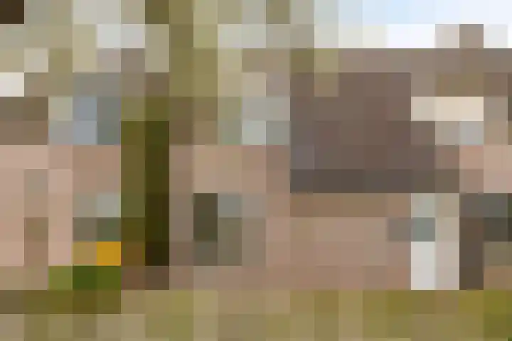 Markgraaflaan 129 Den Haag thumbnail 38