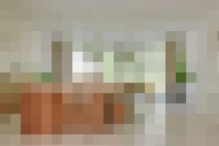 Markgraaflaan 129 Den Haag thumbnail 8