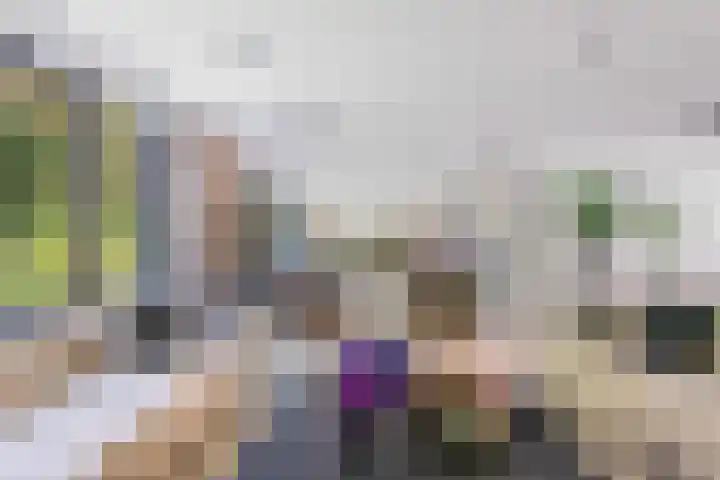 Markgraaflaan 51 Den Haag thumbnail 20
