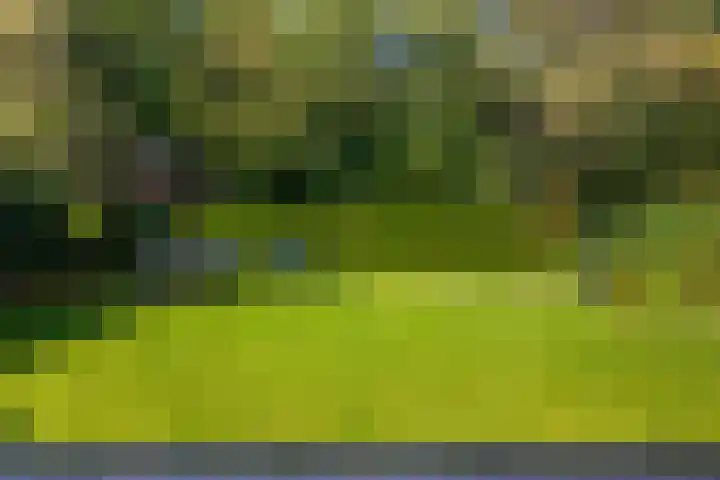 Markgraaflaan 51 Den Haag thumbnail 28