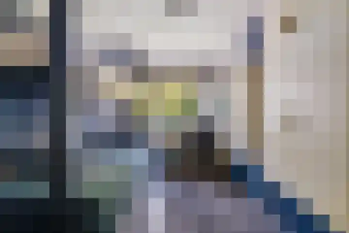 Markgraaflaan 51 Den Haag thumbnail 52