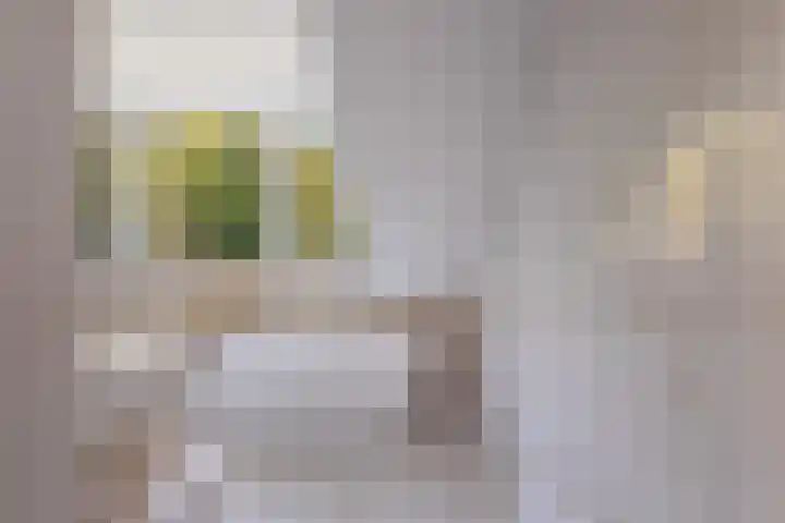 Markgraaflaan 51 Den Haag thumbnail 68