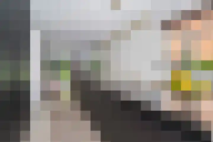 Markgraaflaan 51 Den Haag thumbnail 7