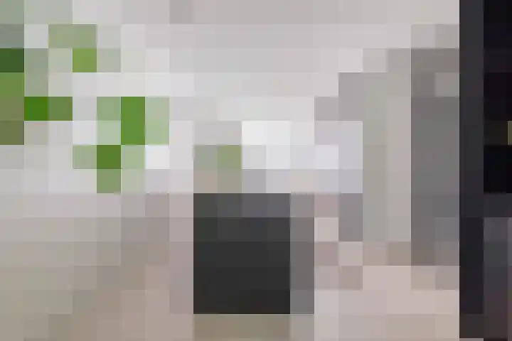 Markgraaflaan 51 Den Haag thumbnail 8
