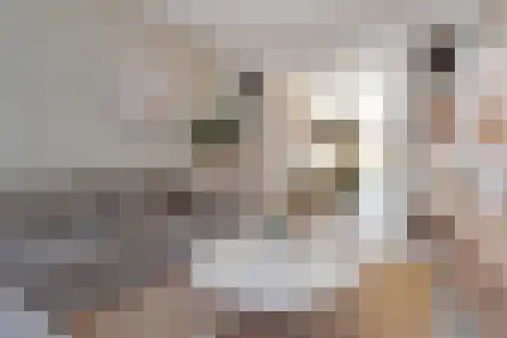Markgraaflaan 92 Den Haag thumbnail 14