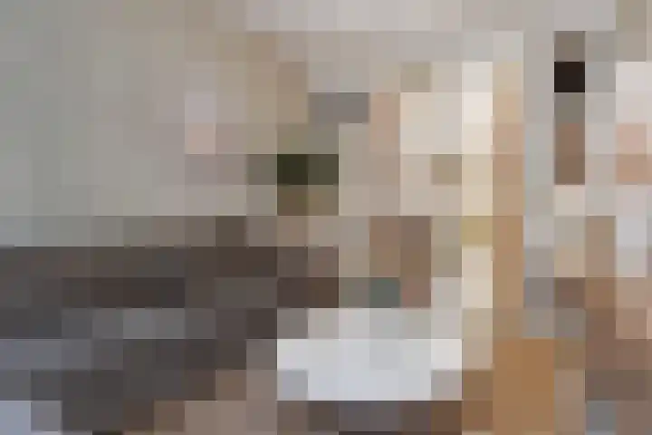 Markgraaflaan 92 Den Haag thumbnail 15