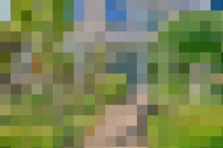 Markgraaflaan 92 Den Haag thumbnail 30
